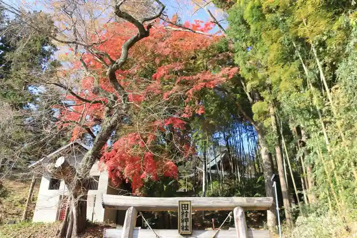 田村神社のその他建物