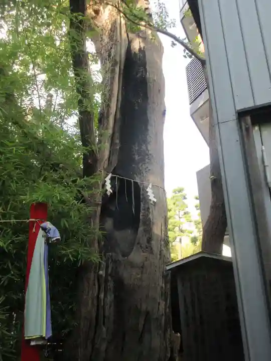 東神奈川熊野神社(神奈川県)
