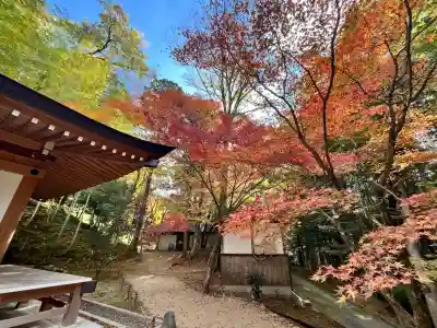 真珠院(神峯山寺塔頭)(大阪府)