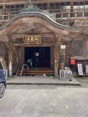 仙龍寺(愛媛県)