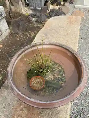 常性寺のその他建物