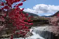 東円寺(岐阜県)