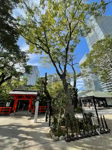 愛宕神社の自然