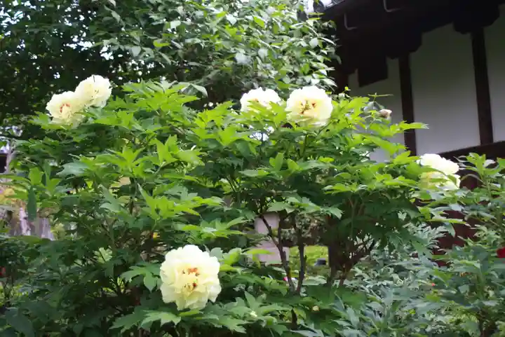石光寺(奈良県)