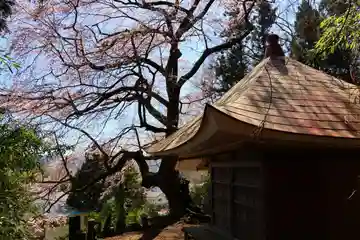 荒井馬頭観音堂の本殿・本堂