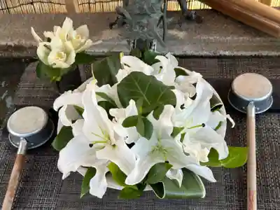 徳島眉山天神社(徳島県)