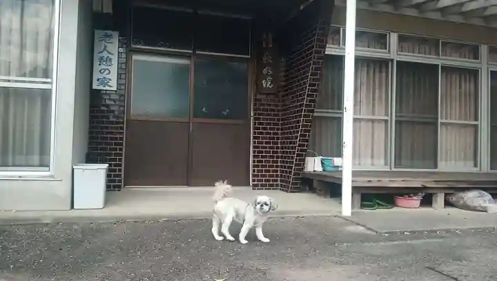寂如院(山梨県)