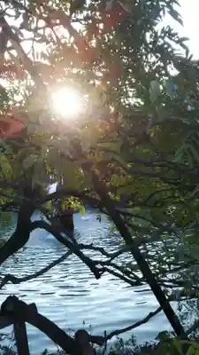 大天白神社の自然