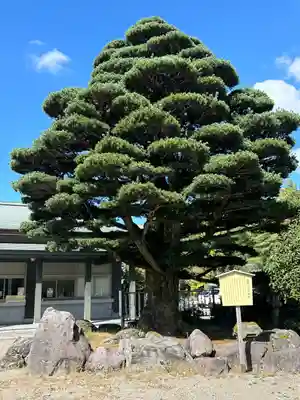 石川護國神社(石川県)