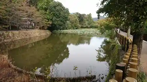 常寂光寺(京都府)