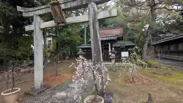 飛梅天満宮(新日吉神宮境内社)(京都府)