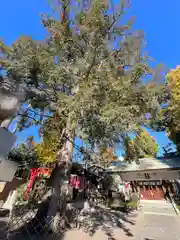 下神明天祖神社(東京都)