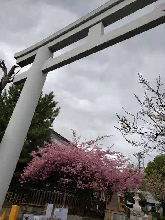 新宿下落合氷川神社(東京都)