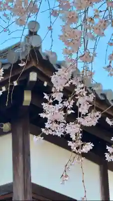 東郷寺(東京都)