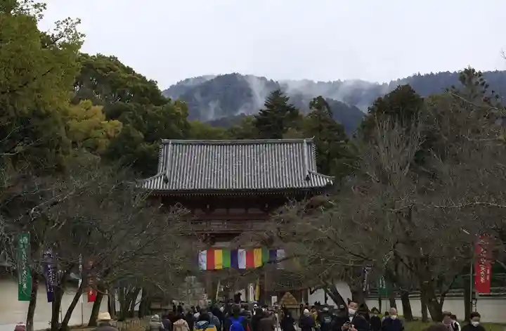 醍醐寺(京都府)