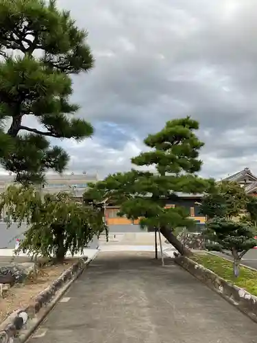 妙禅寺(愛知県)