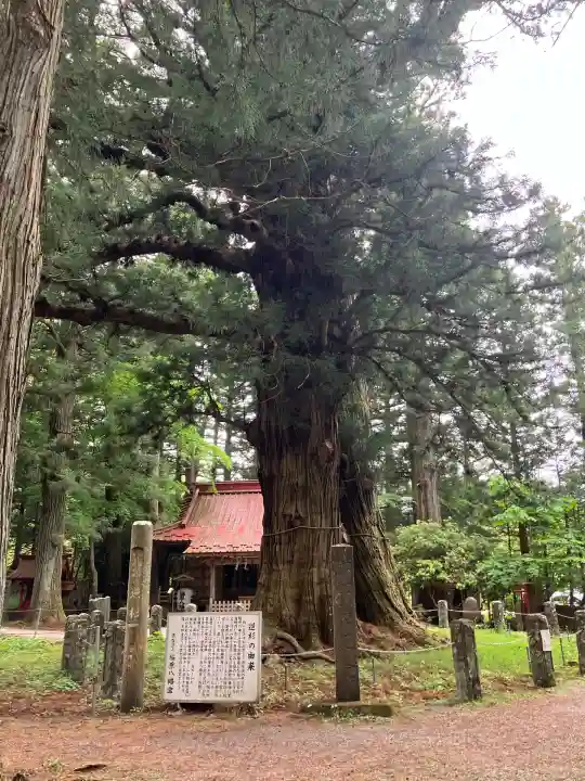 塩原八幡宮(栃木県)