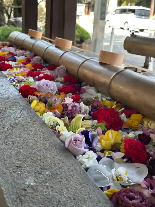 群馬県護国神社(群馬県)