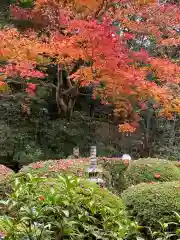 詩仙堂（丈山寺）の自然