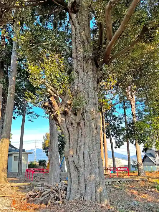 大領神社(岐阜県)
