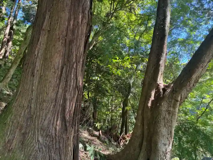 長谷寺(奈良県)