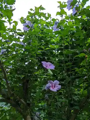 地蔵寺(京都府)