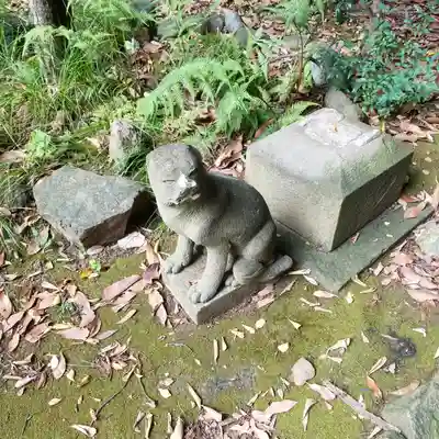 円山随身稲荷大明神の狛犬