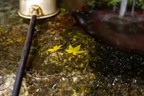 柞原八幡宮(大分県)