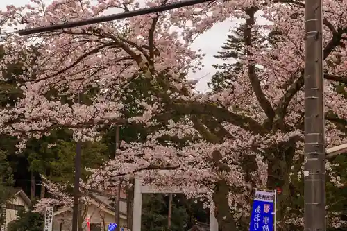 白山比咩神社の自然