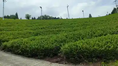 正寿院(京都府)