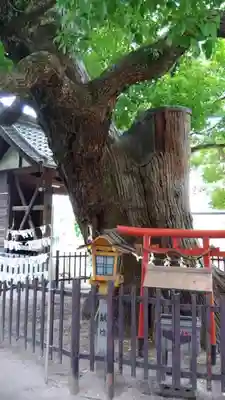 阿遅速雄神社のその他建物