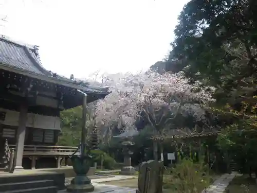 安國論寺（安国論寺）の景色