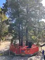 香椎宮(福岡県)