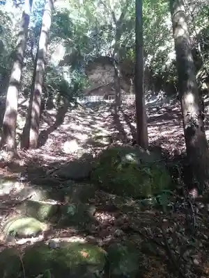 金色妙見宮の周辺