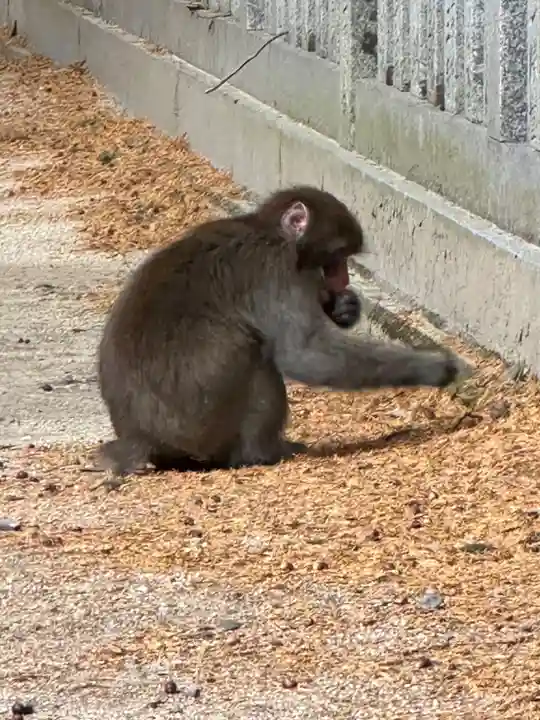 大麻比古神社(徳島県)
