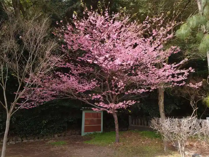 靜岡縣護國神社の自然
