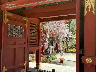 秩父神社(埼玉県)