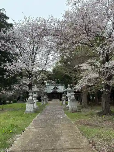 八坂神社の{uncategorized: "未分類", other: "その他", undefined: "問題あり", building: "その他建物", grave: "お墓", sacred_gate: "鳥居", guardian: "狛犬", statue: "像", buddha: "仏像", history: "歴史", nature: "自然", garden: "庭園", animal: "動物", pagoda: "塔", temizu: "手水舎", mountain_gate: "山門・神門", sanctuary: "本殿・本堂", subordinate: "末社・摂社", art: "芸術", scenery: "景色", jizo: "地蔵", ema: "絵馬", goshuin: "御朱印", omikuji: "おみくじ", items: "授与品その他", amulet: "お守り", goshuincho: "御朱印帳", eats: "食事", festival: "お祭り", votive_dance: "神楽", shichigosan: "七五三参", wedding: "結婚式", experience: "体験その他", initially: "初詣", around: "周辺", anti_infection: "感染症対策"}