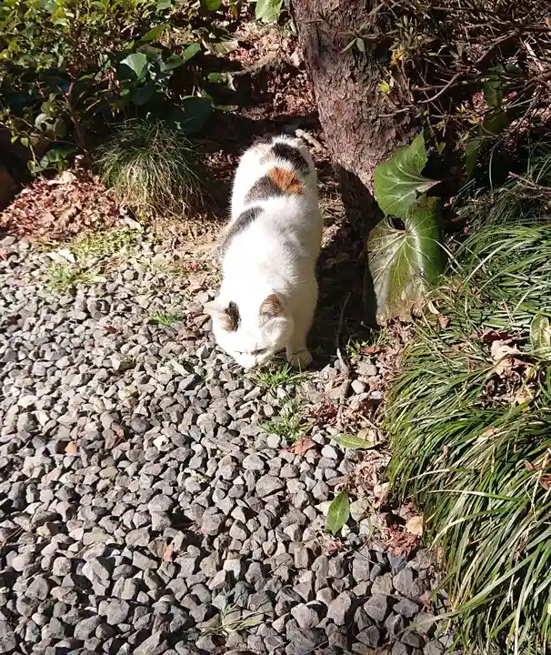 唐澤山神社(栃木県)