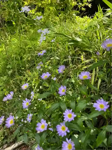 岩戸別神社(栃木県)