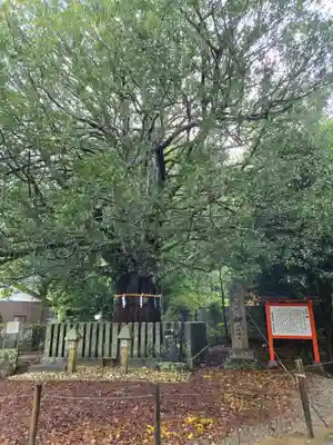 熊野速玉大社(和歌山県)