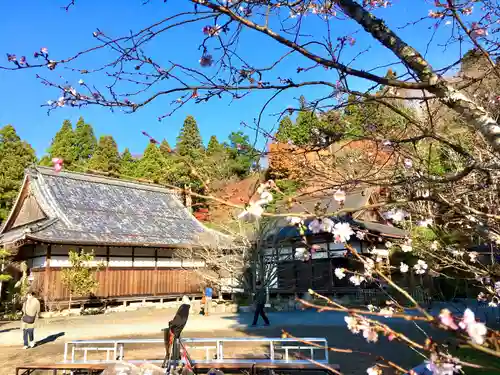 百済寺の建物その他