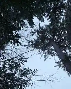 滑川神社 - 仕事と子どもの守り神(福島県)(2025年02月05日(水) 10時15分32秒投稿)