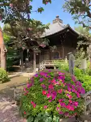 護国寺(東京都)