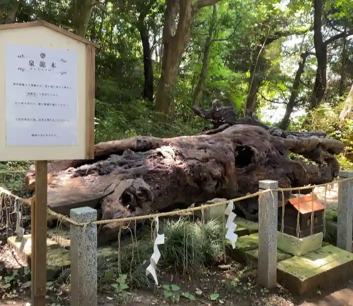 泉神社(茨城県)