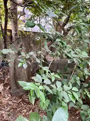 竜谷寺(東京都)