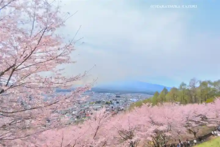 新倉富士浅間神社(山梨県)