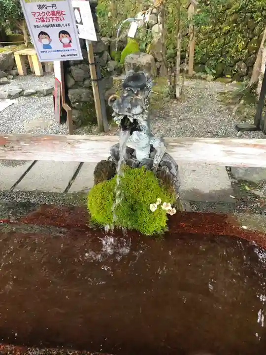 出雲大神宮の手水舎
