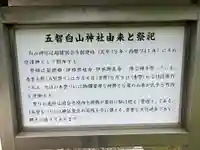 白山神社(五智)(新潟県)