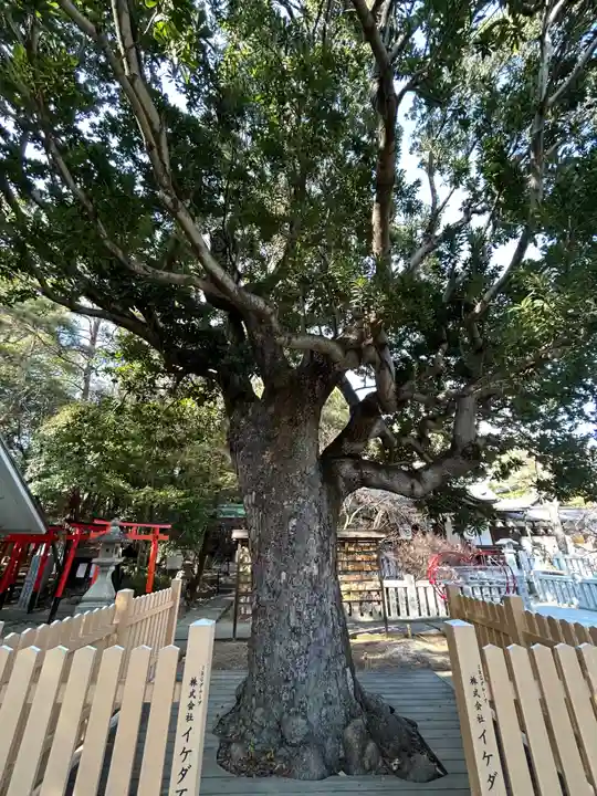芦屋神社(兵庫県)